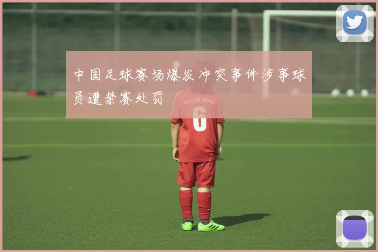 中国足球赛场爆发冲突事件涉事球员遭禁赛处罚