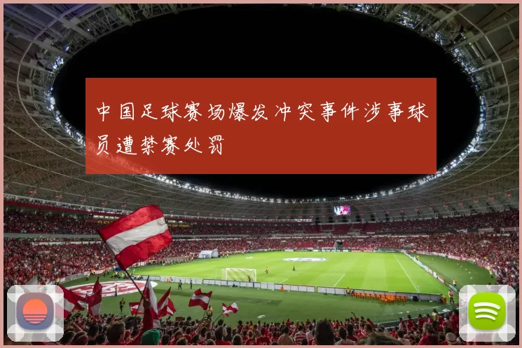 中国足球赛场爆发冲突事件涉事球员遭禁赛处罚