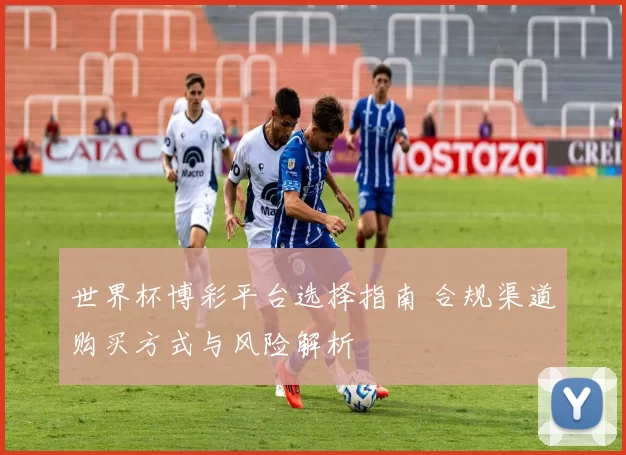 世界杯博彩平台选择指南 合规渠道购买方式与风险解析