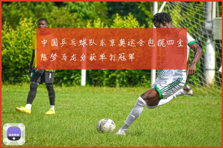中国乒乓球队东京奥运会包揽四金陈梦马龙分获单打冠军